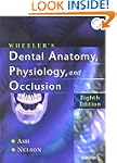 Wheeler's Dental Anatomy, Physiology...