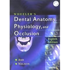 Wheeler's Dental Anatomy, Physiology and Occlusion
