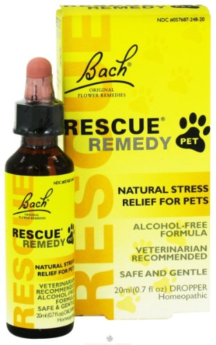 pet rescue