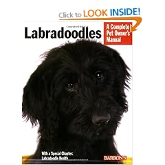 Labradoodles