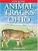 Animal Tracks of Ohio (Animal Tracks Guides)