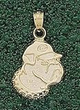 Anderson Jewelry Georgia Bulldogs Bulldog head Gold charm