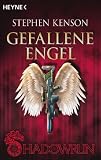 Shadowrun. Gefallene Engel: 3 Shadowrun-Romane - Stephen Kenson