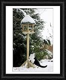 Framed Print of Cat - black a white cat climbing up a bird feeding table in snow from Ardea