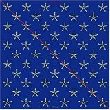 Xitintoday (Mini Lp Sleeve)