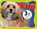 Benji