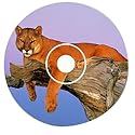 Wild Cats (Jewel Case)