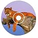 Wild Cats (Jewel Case)
