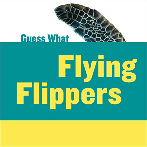 Flying Flippers: Sea Turtle (Guess What)