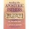 Patristic History and Theology