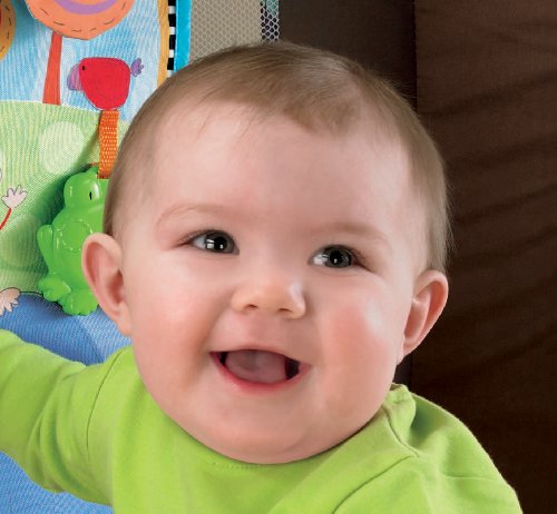 Imagen 8 de Fisher Price - Fisher Price - Panel Activity De Cuna (de 0 a 12 meses) (Mattel)