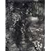 Jasper Johns: Drawings (Menil Collection)