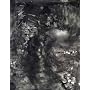 Jasper Johns: Drawings (Menil Collection)