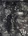 Search : Jasper Johns: Drawings (Menil Collection)