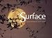 Surface 2004: Land / Water and the Visual Arts Symposium (Intellect Books - Changing Media, Changing Europe)