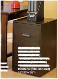 BEAUTIFUL FILE CABINET WITH CASTERS TO ADD MOBILITY