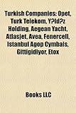 Turkish Company Introduction: Opet, Turk Telekom, y LD Z Holding, Aegean Yacht, Atlasjet, Avea, Fenercell, Istanbul Agop Cymbals, Gittigidiyor-