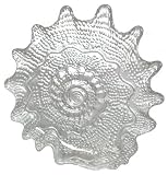 Clear Glass Conch Shell Medium Dish 12" D