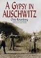 A Gypsy in Auschwitz