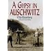 A Gypsy in Auschwitz