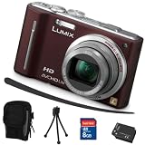Panasonic Lumix TZ10 braun + Mega Zubehör ( 8GB + Tasche + 2Akkus + KFZ )