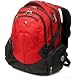 SwissGear Computer Backpack (Gray/Black)