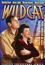Wild Cat