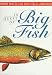 In Quest of the Big Fish