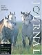 American Quarter Horse Journal