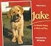 Jake: A Labrador Puppy at Work and Play