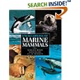 Encyclopedia of Marine Mammals by William F. Perrin, Bernd Wursig, and J. G.M. Thewissen