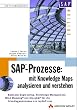 SAP-Prozesse, Mit Knowledge Maps analysieren und verstehen