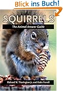 Squirrels