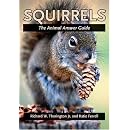 Squirrels: The Animal Answer Guide