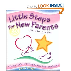 Little Steps for New Parents - Sandy Briggs