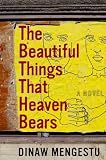 The Beautiful Things That Heaven Bears