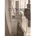 Cy Twombly: Catalogue Raisonne of Sculpture: Volume I 1946-1997