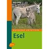Esel -