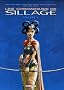 Les chroniques de Sillage, Tome 4 :