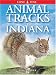 Book Animal Tracks of Indiana (Animal Tracks Guides)