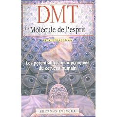 DMT, La mol�cule de l'esprit : Les potentialit�s insoup�onn�es du cerveau humain