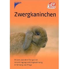 Zwergkaninchen