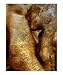 Hommage to Rodin's Eternelle Idole - Variation Wheat Giclee Poster Print by Ina Mar, 20x24