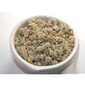 Indischer Weihrauch - Boswellia Serrata 20g