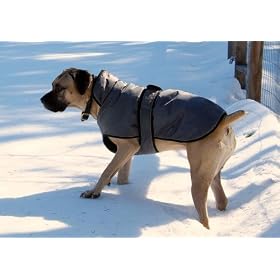 Water Resistant Kennel Deluxe Dog Blanket Coat Jacket with Reflective Safety All Sizes by