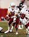 Jake Plummer Arizona Cardinals - Handing Off - 16x20 Autographed Photograph