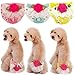 3-Piece Set Lillypet® Dog Puppy Diaper Sanitary Pants Underwear Panty Female Girl For SMALL Breeds Flower Rose Lace Green Pink Yellow