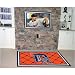 MLB Detroit Tigers Novelty Mat Size: 5' x 8'