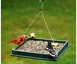 Hanging Platform Bird Feeder - Recycled Plastic, Powder Coated Steel Screen, Easy to Clean and Disinfect