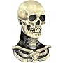 Adult's Skull and Bones Halloween Mask